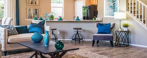 Interior Renovations